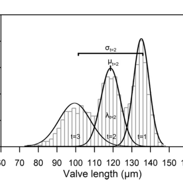 Length Vs Frequency