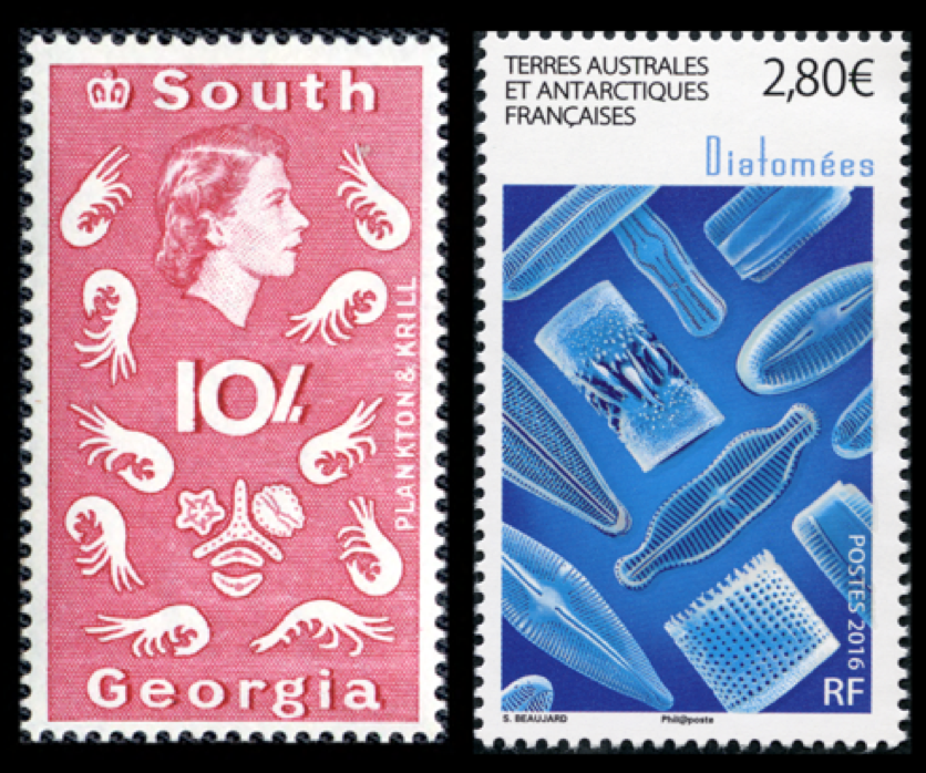 Fig 1 Oldest 1963 Newest 2016 Diatom Stamps