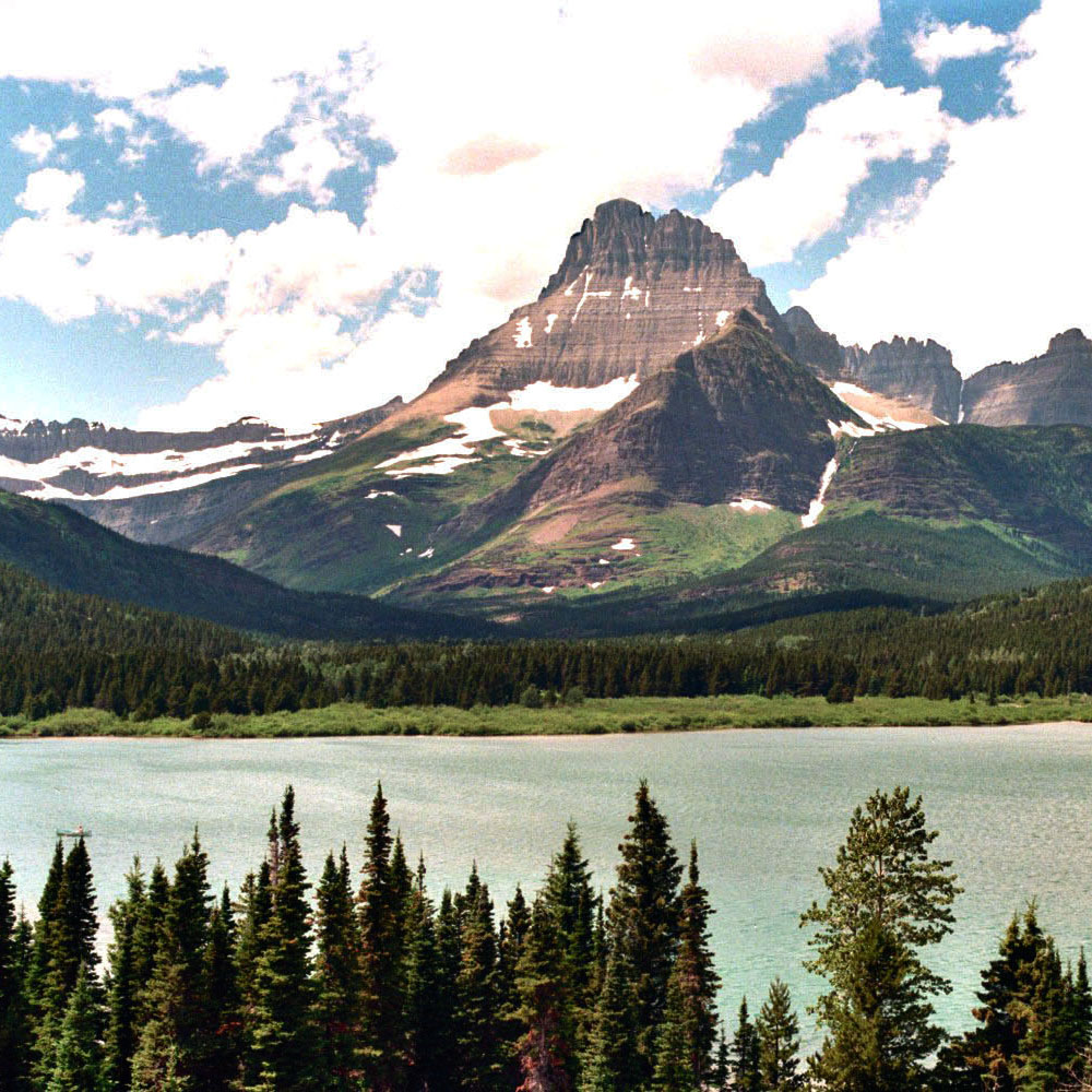 Swiftcurrent  Lake And  Valley