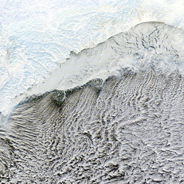 Bering tmo 2012004 lrg