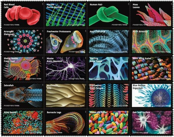 Life magnified stamps