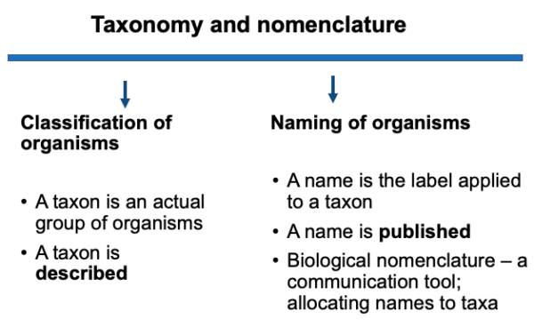 Taxonomy And Nomenclature