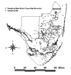 G affine NAWQA map 2001 morales