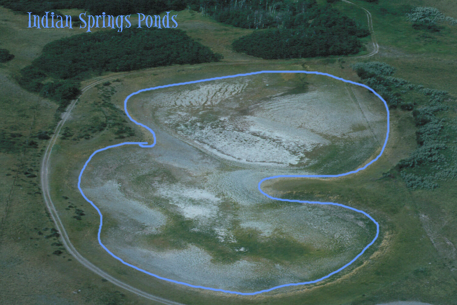 Indian  Springs  Ponds 1