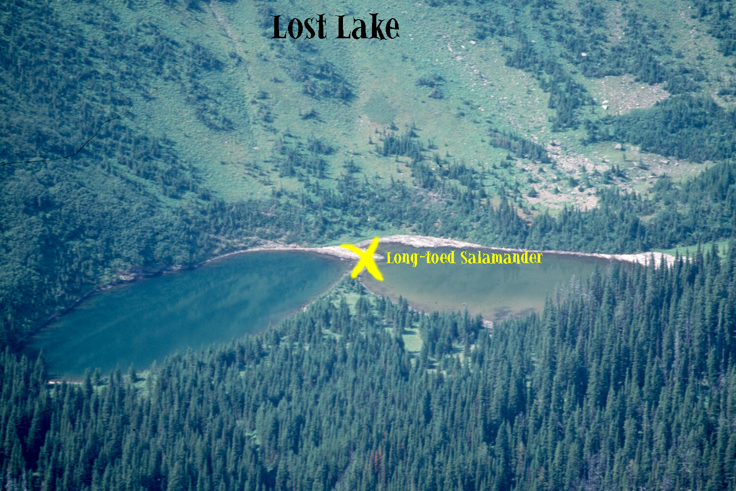 Lost  Lake