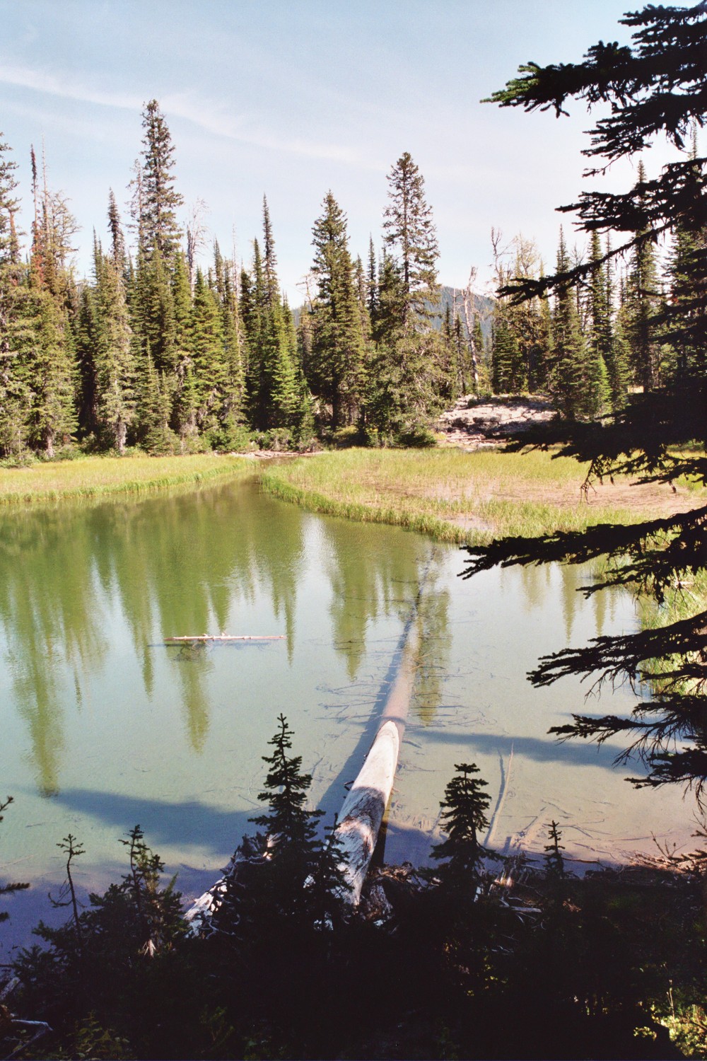 Lower  Wolverine  Pond (3)