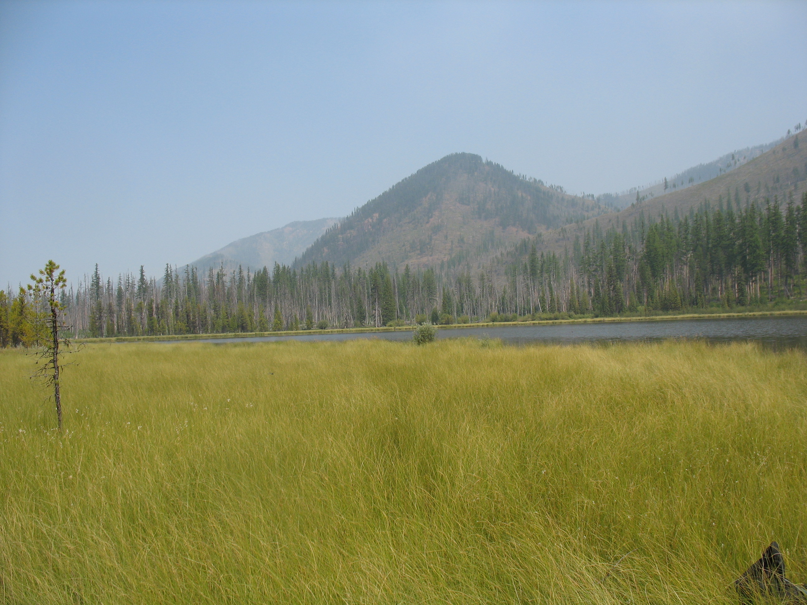 Mud  Lake,  Bob  Marshall  Wilderness