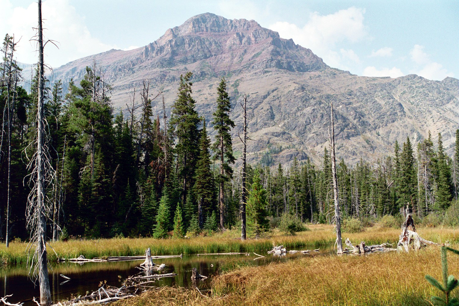 Paradise  Pond And  Rising  Wolf  Mountain 4