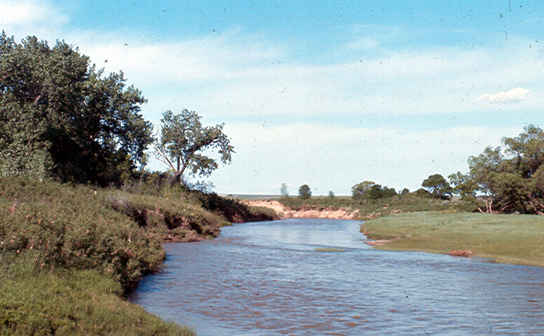 Poplar  River 1