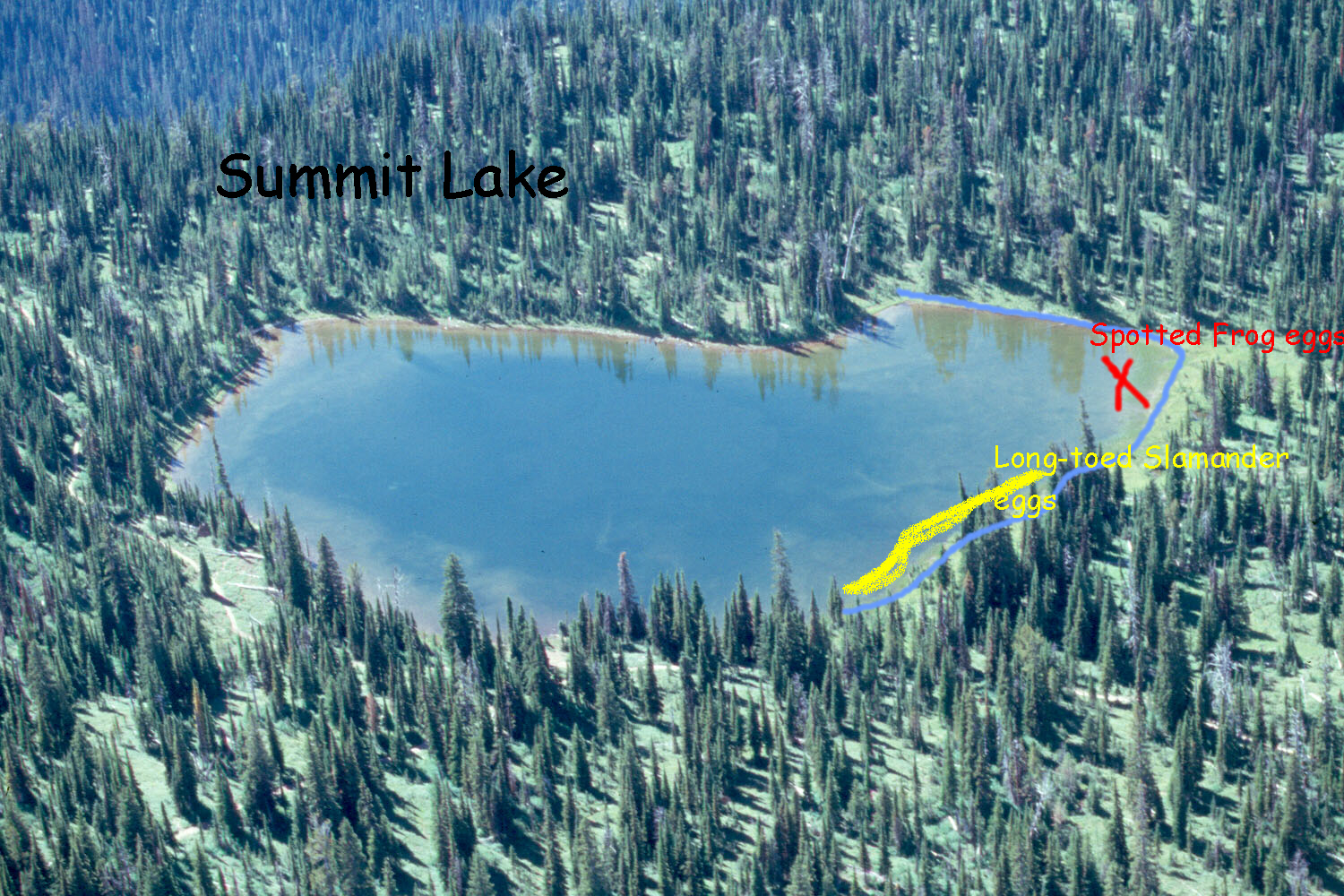 Summit  Lake  General 3