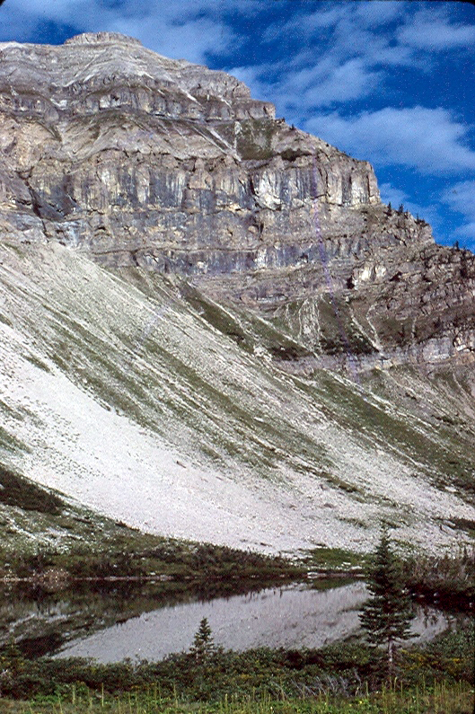 Trilobite  Lake  Mt