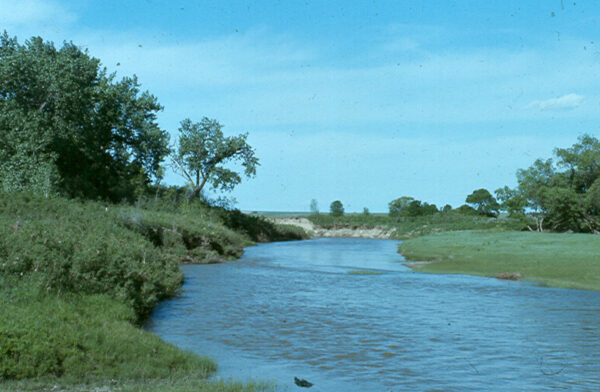 Poplar  River
