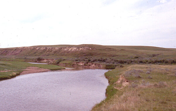 Redwater  River
