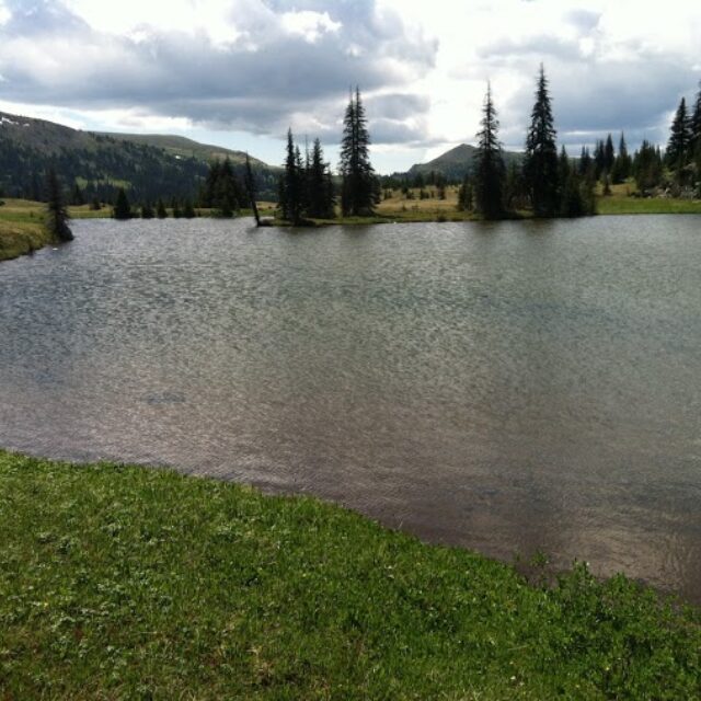 Loudon Lake