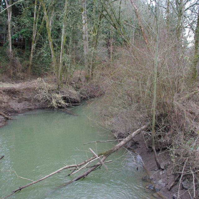 Fanno  Creek  Durham  Oregon