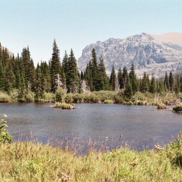 Atlantic  Pond