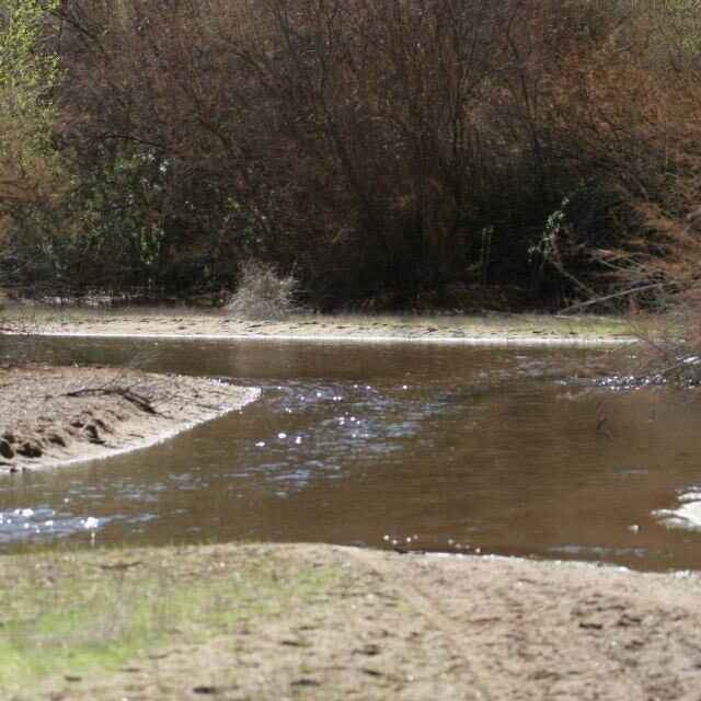 Bill  Williams  River 2 23 2013