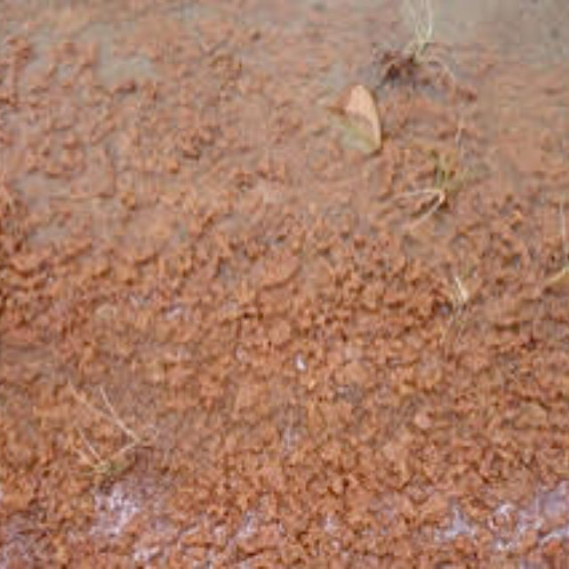 Bloody Falls Tundra Lake Closeup