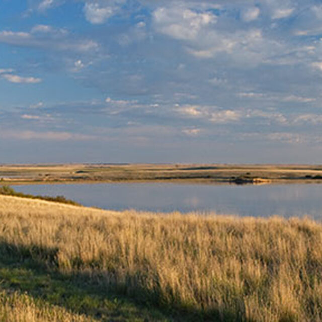 Brush Lake  Doug Smith