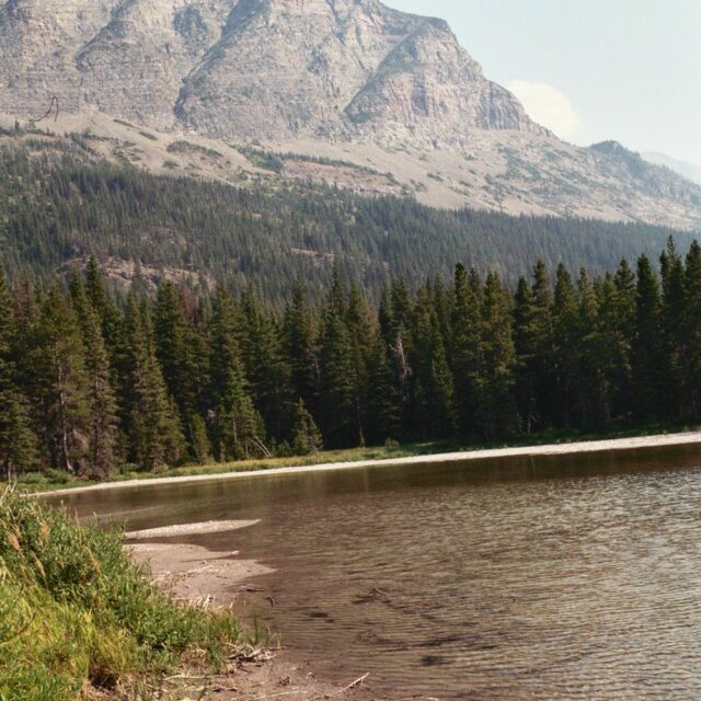 Cut  Bank  Pond  Gnp