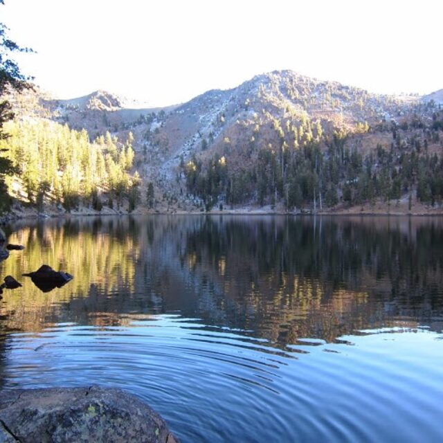 Deadfall Lake Ca