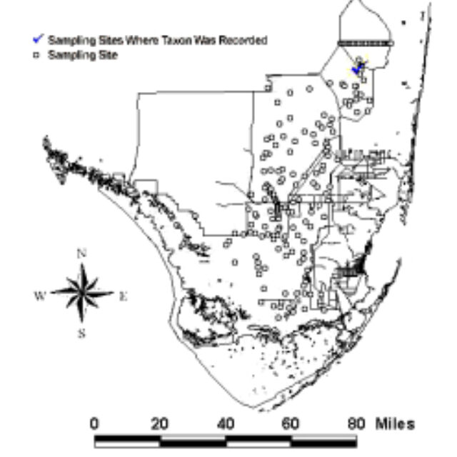 G affine NAWQA map 2001 morales