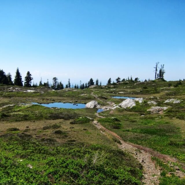 Goat Flats Pond