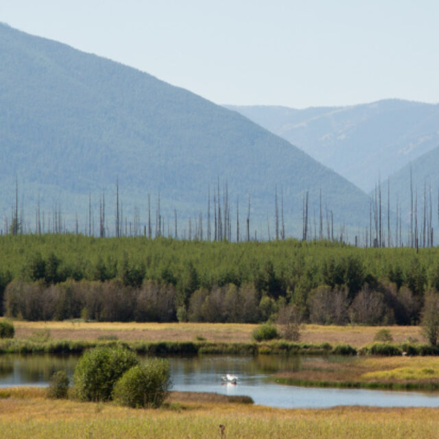 Hidden Meadow Lake