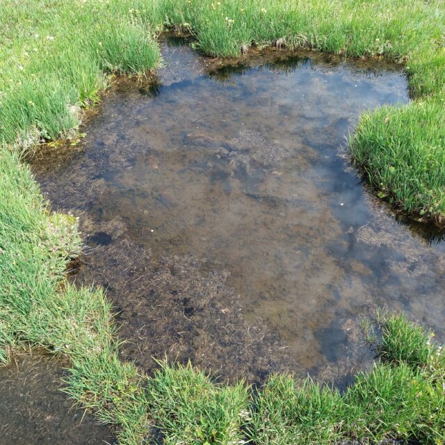 High Lonesome Pool 1