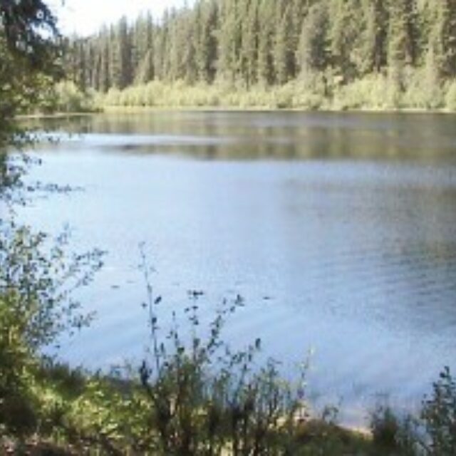 Hoskins  Lake  Montana