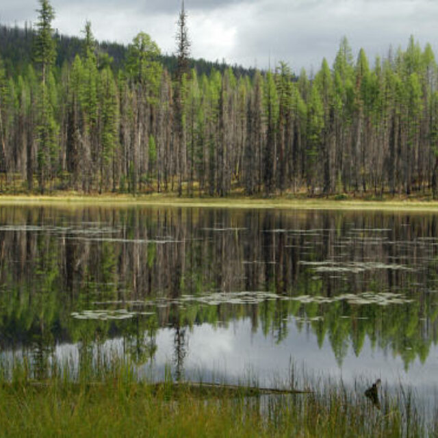 Howe  Lake 2  Gnp 1