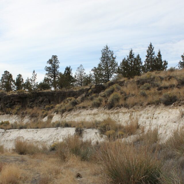 Diatomite deposit, Terrebonne, Oregon