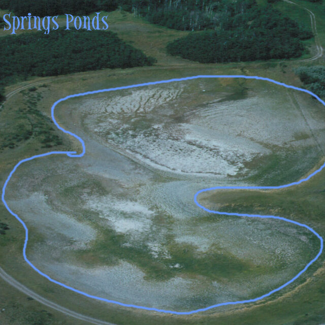 Indian  Springs  Ponds