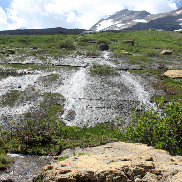 Jackson Basin Site 1