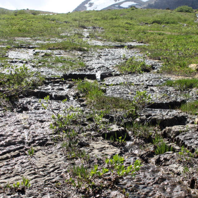 Jackson Basin Site 2