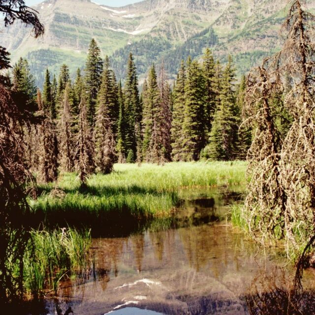 Kootenai  Pond And  Citadel  Peaks