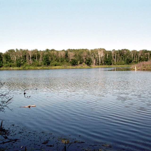 Lake  Metigoshe1