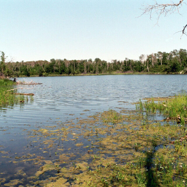 Lake  Metigoshe2