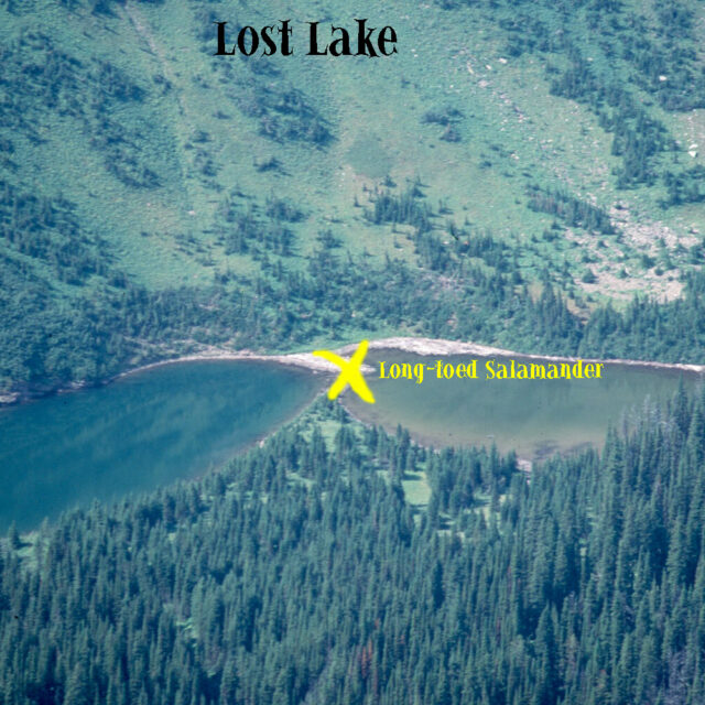 Lost  Lake