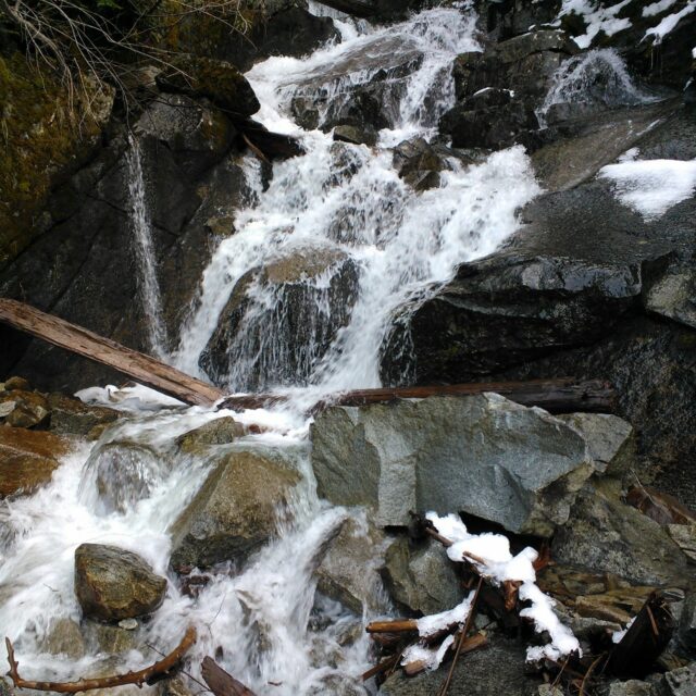 Mason  Creek Aerophilic Habitat