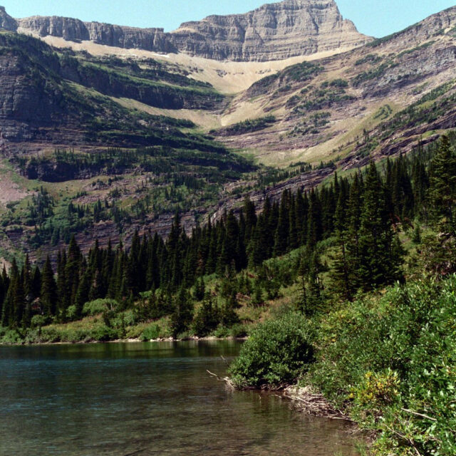 Medicine  Grizzly  Lake  Gnp