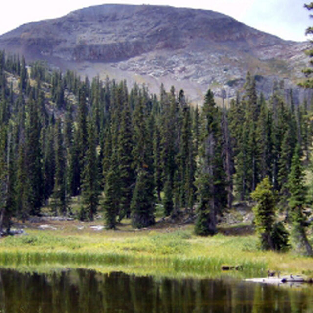 Mexican Cut Ponds  Nature Conservancy