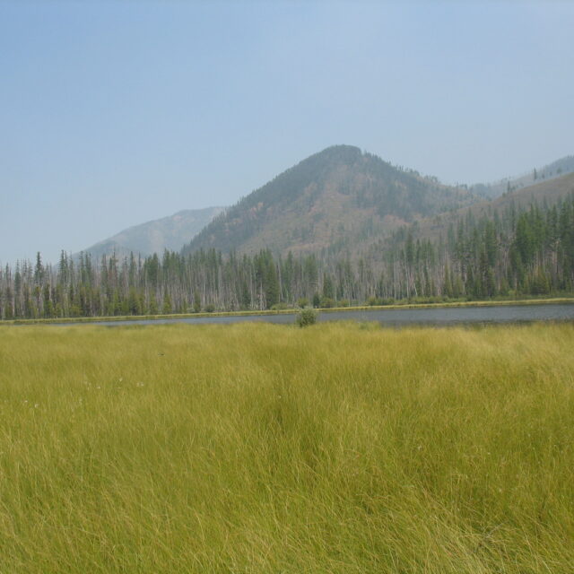 Mud  Lake,  Bob  Marshall  Wilderness