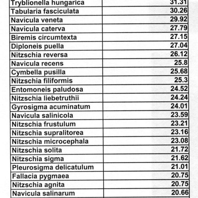 Navcincta Associates