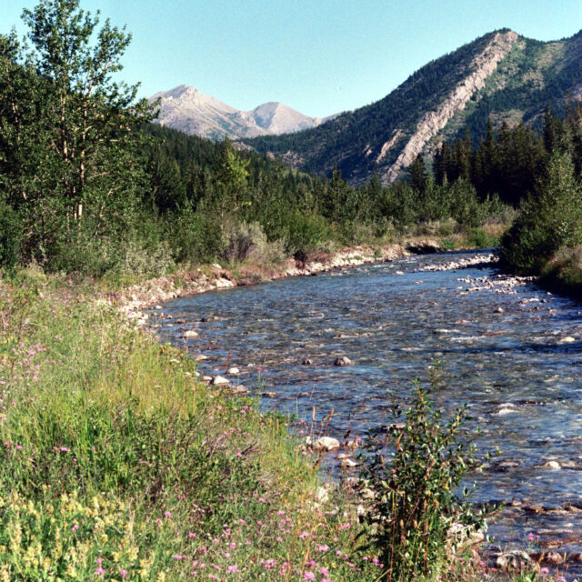 North Fork Teton River