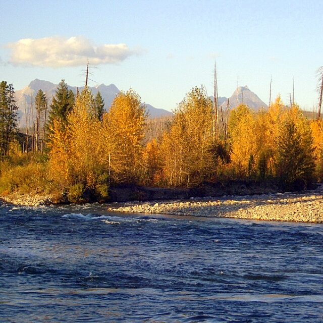 North Fork Flathead