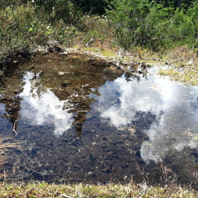 Olympics Meltwater Pond1  Ryan Davis