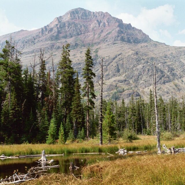 Paradise  Pond And  Rising  Wolf  Mountain