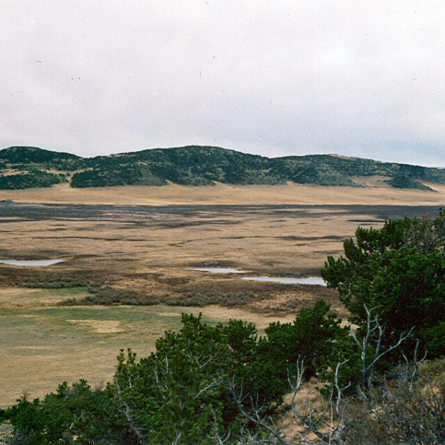 Pine  Butte