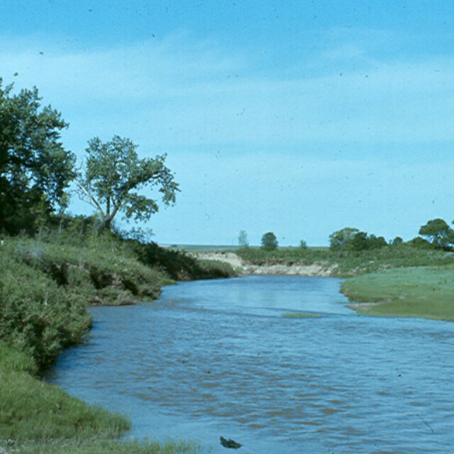 Poplar  River